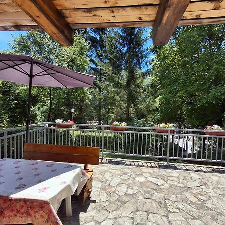 Apartman Relax In Nature يايتشه المظهر الخارجي الصورة