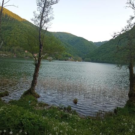 Apartman Relax In Nature يايتشه المظهر الخارجي الصورة